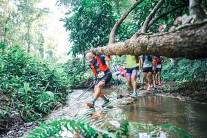 BIB: 
                            <button type="button" onclick="openModal(25454115)" class="btn btn-primary btn-sm float-right btn-popup" data-toggle="modal" data-target=".modal-high-quality">
                        <i class="fas fa-shopping-cart"></i> Add to Cart
                    </button>
                                            <button type="button" onclick="isThisMe(25454115, true)" class="btn btn-success btn-sm float-right btn-popup btn-isme hidden" data-toggle="tooltip" data-placement="bottom" title="นี่คือรูปของคุณใช่ไหม คลิกที่นี่เพื่อเอาเข้าอัลบั้ม">
                        <i class="fas fa-plus"></i> Add to album
                    </button>
                    <button type="button" onclick="isThisMe(25454115, false)" class="btn btn-warning btn-sm float-right btn-popup btn-isnotme hidden">
                        <i class="fas fa-ban"></i> Remove from album
                    </button>